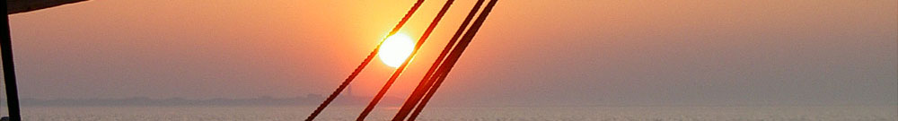 header2.jpg