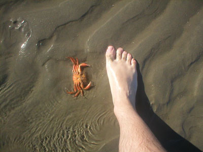 P1010083.jpg